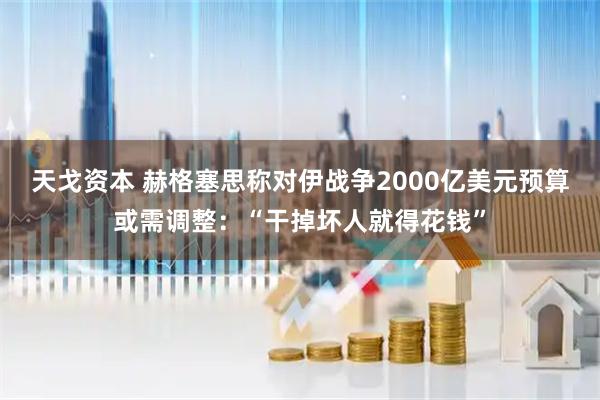 天戈资本 赫格塞思称对伊战争2000亿美元预算或需调整：“干掉坏人就得花钱”